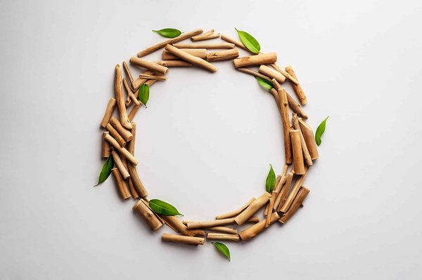 Comment protéger les mers et les océans ?